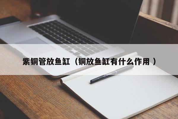 紫铜管放鱼缸（铜放鱼缸有什么作用 ）