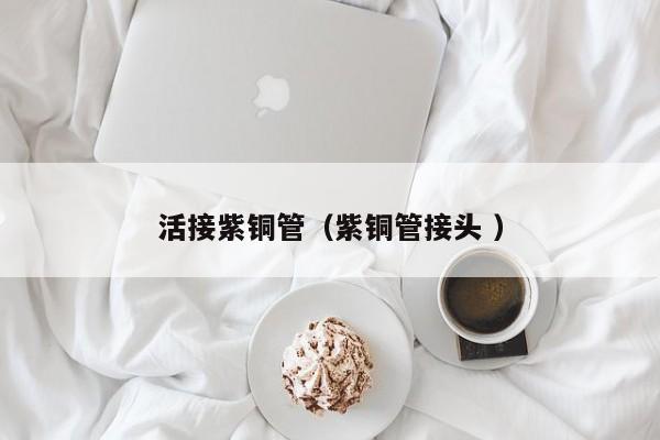 活接紫铜管（紫铜管接头 ）