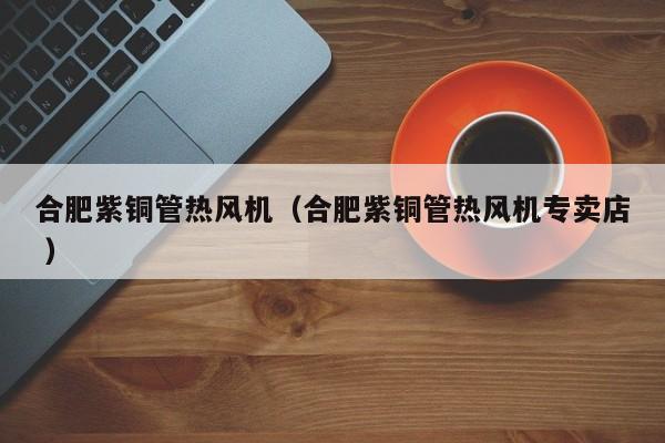 合肥紫铜管热风机（合肥紫铜管热风机专卖店 ）