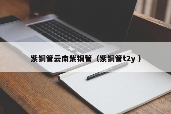 紫铜管云南紫铜管（紫铜管t2y ）