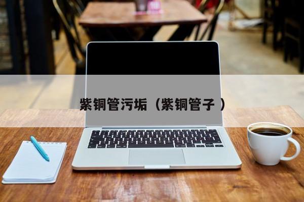 紫铜管污垢（紫铜管子 ）
