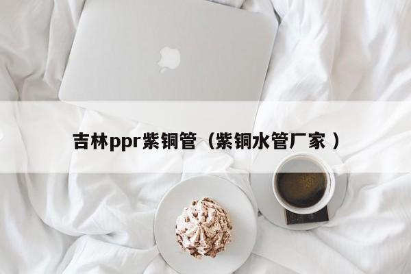 吉林ppr紫铜管（紫铜水管厂家 ）