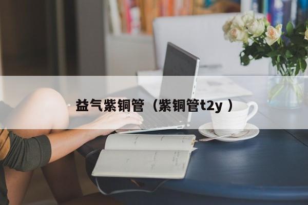 益气紫铜管（紫铜管t2y ）