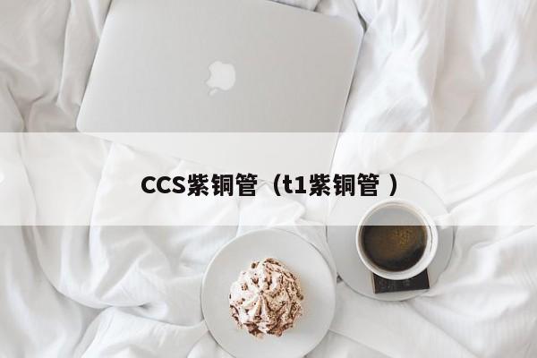 CCS紫铜管（t1紫铜管 ）