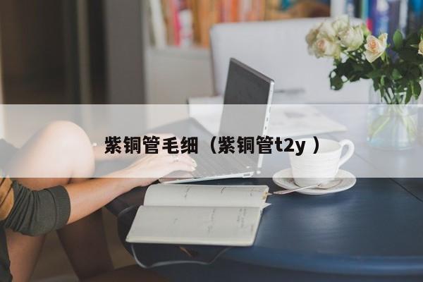 紫铜管毛细（紫铜管t2y ）