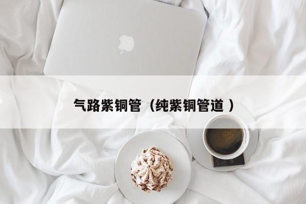 气路紫铜管（纯紫铜管道 ）