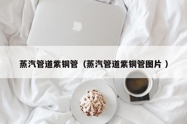 蒸汽管道紫铜管（蒸汽管道紫铜管图片 ）