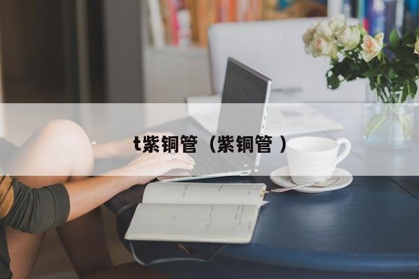 t紫铜管（紫铜管 ）