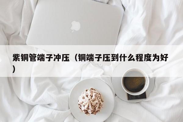 紫铜管端子冲压（铜端子压到什么程度为好 ）