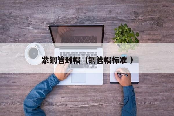 紫铜管封帽（铜管帽标准 ）
