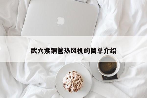 武穴紫铜管热风机的简单介绍