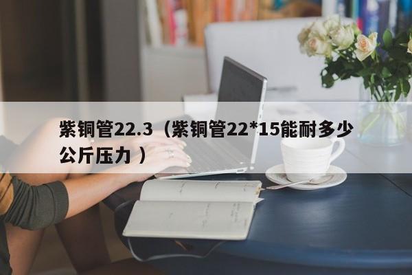 紫铜管22.3（紫铜管22*15能耐多少公斤压力 ）
