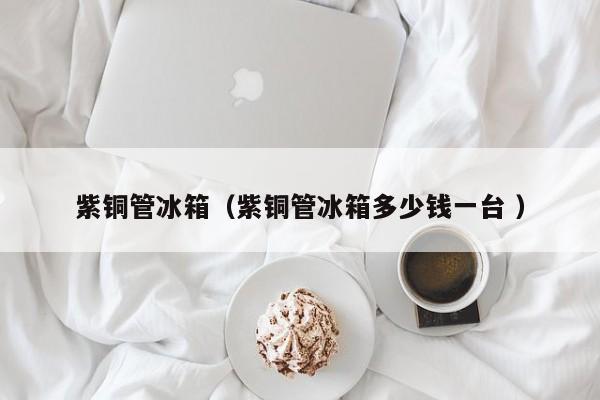 紫铜管冰箱（紫铜管冰箱多少钱一台 ）