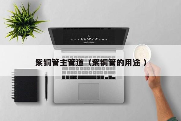 紫铜管主管道（紫铜管的用途 ）