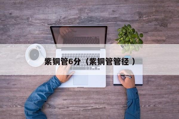 紫铜管6分（紫铜管管径 ）
