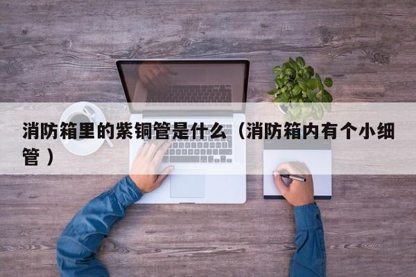 消防箱里的紫铜管是什么（消防箱内有个小细管 ）