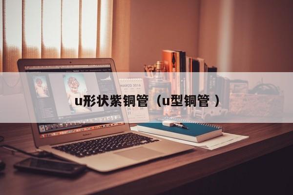 u形状紫铜管（u型铜管 ）