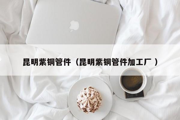 昆明紫铜管件（昆明紫铜管件加工厂 ）