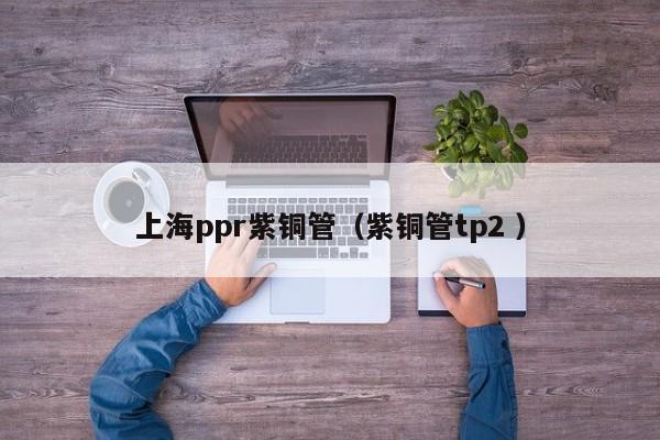 上海ppr紫铜管（紫铜管tp2 ）